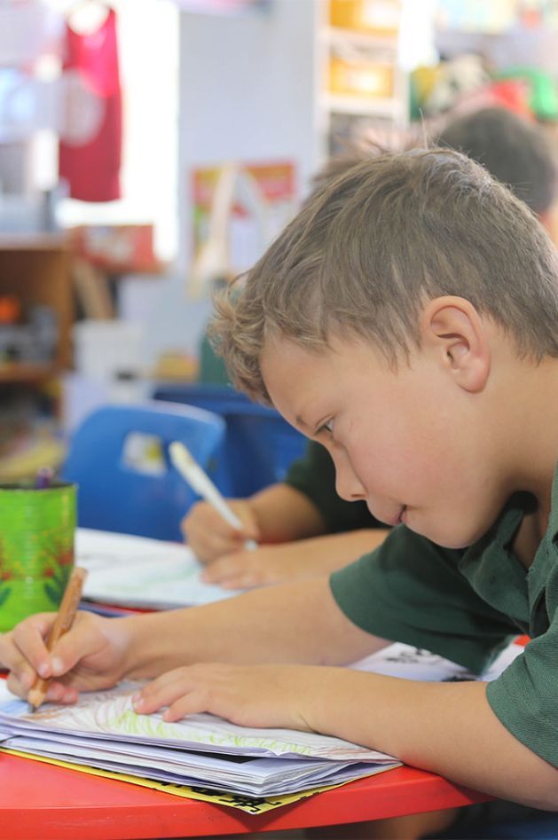 Primary years student drawing